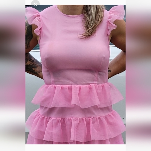 EWA HERZOG Designer Pink Multi Layer Tulle Dress Final Discount - Picture 2 of 12
